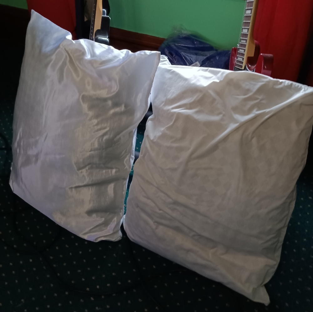 Set of 2 Feather Down Pillows